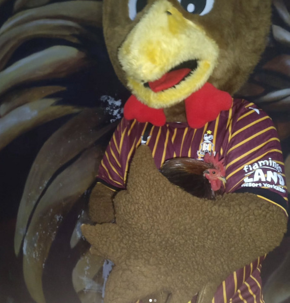 Morais Meets Billy Bantam! - 24/02/26