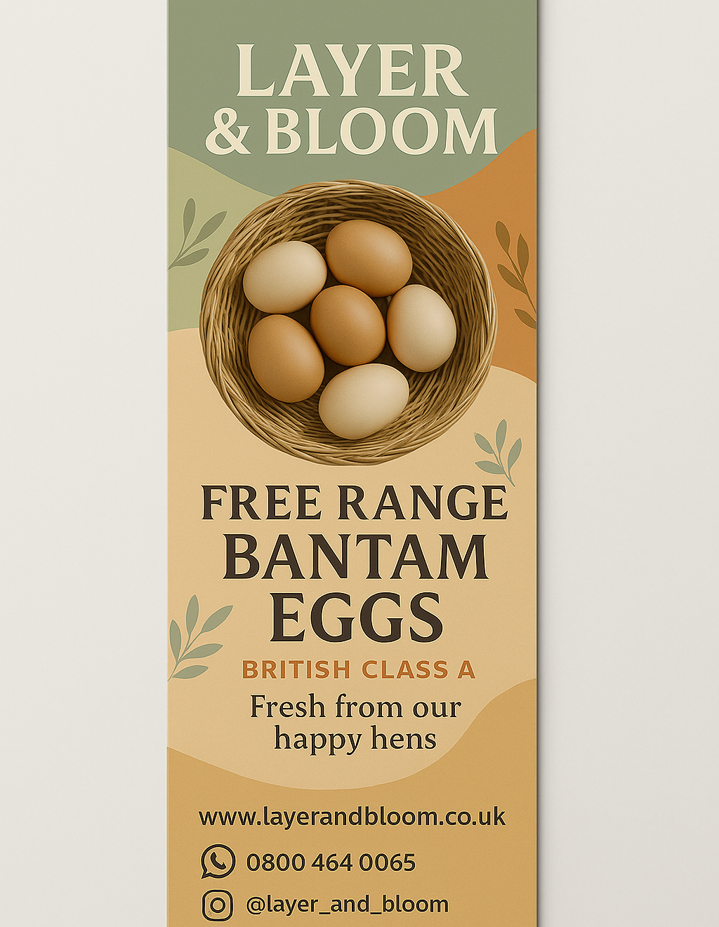 6 Bantam Eggs (Medium)