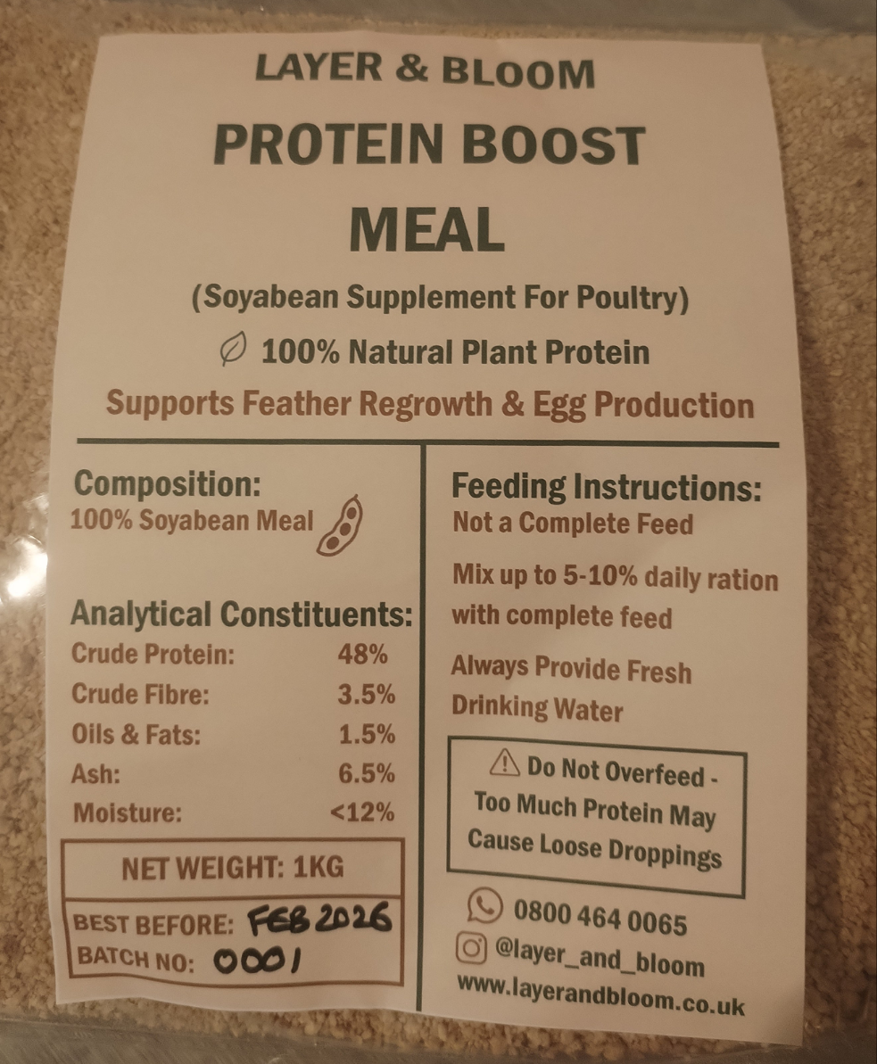 Protein Boost Meal