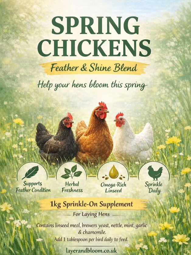 Spring Chickens: Feather & Shine Blend