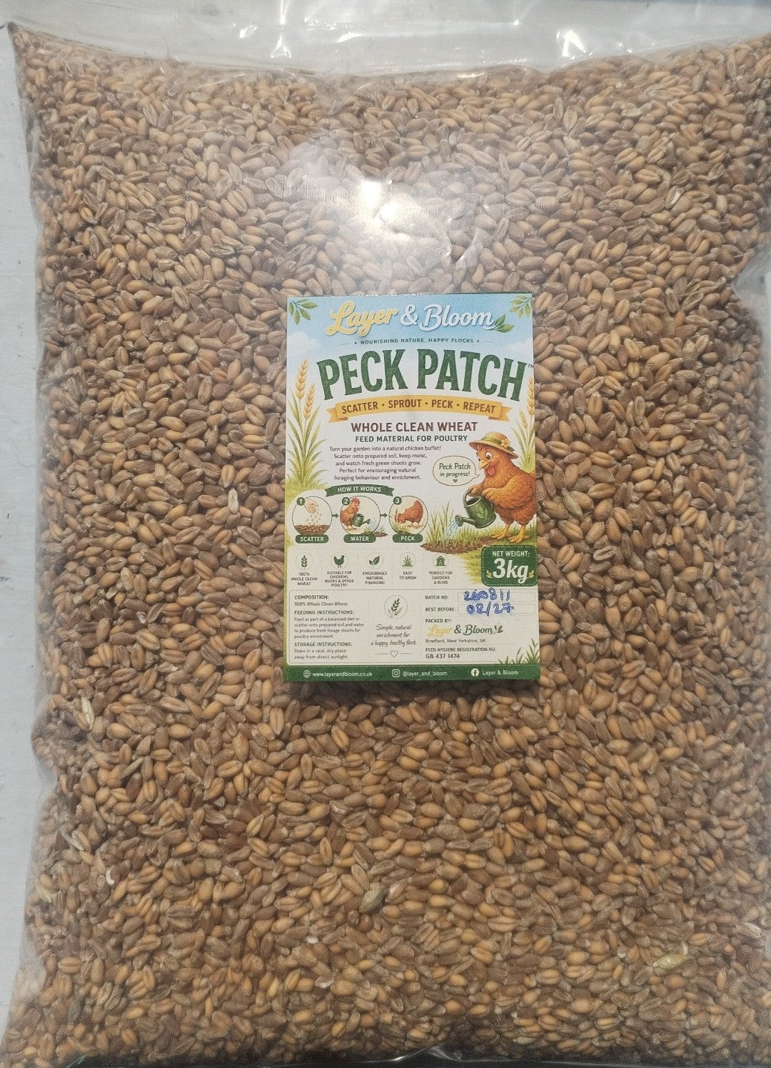3kg Whole Wheat Forage – Grow Fresh Sprouts for Your Flock