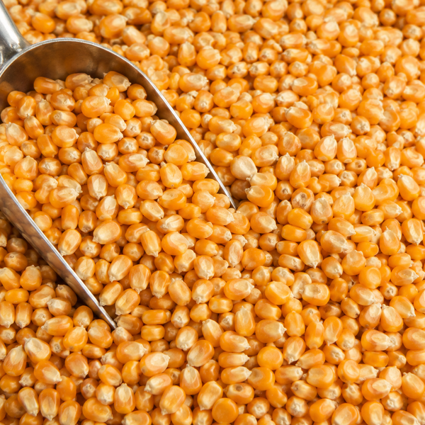 2kg Whole Maize