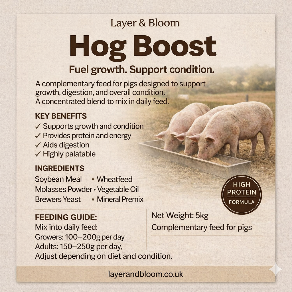 Hog Boost – High-Protein Pig Supplement