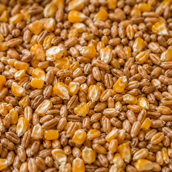 Country Gold - Wheat & Split Maize Mixture