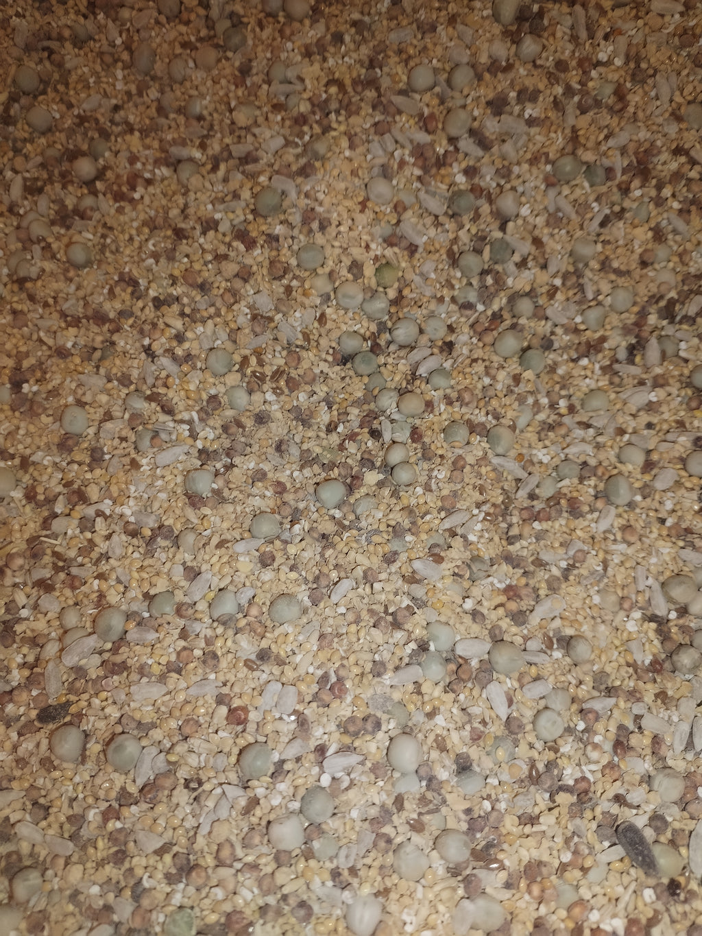 FLOCK ONE – 21% Premium Mixed-Flock Textured Complete Feed