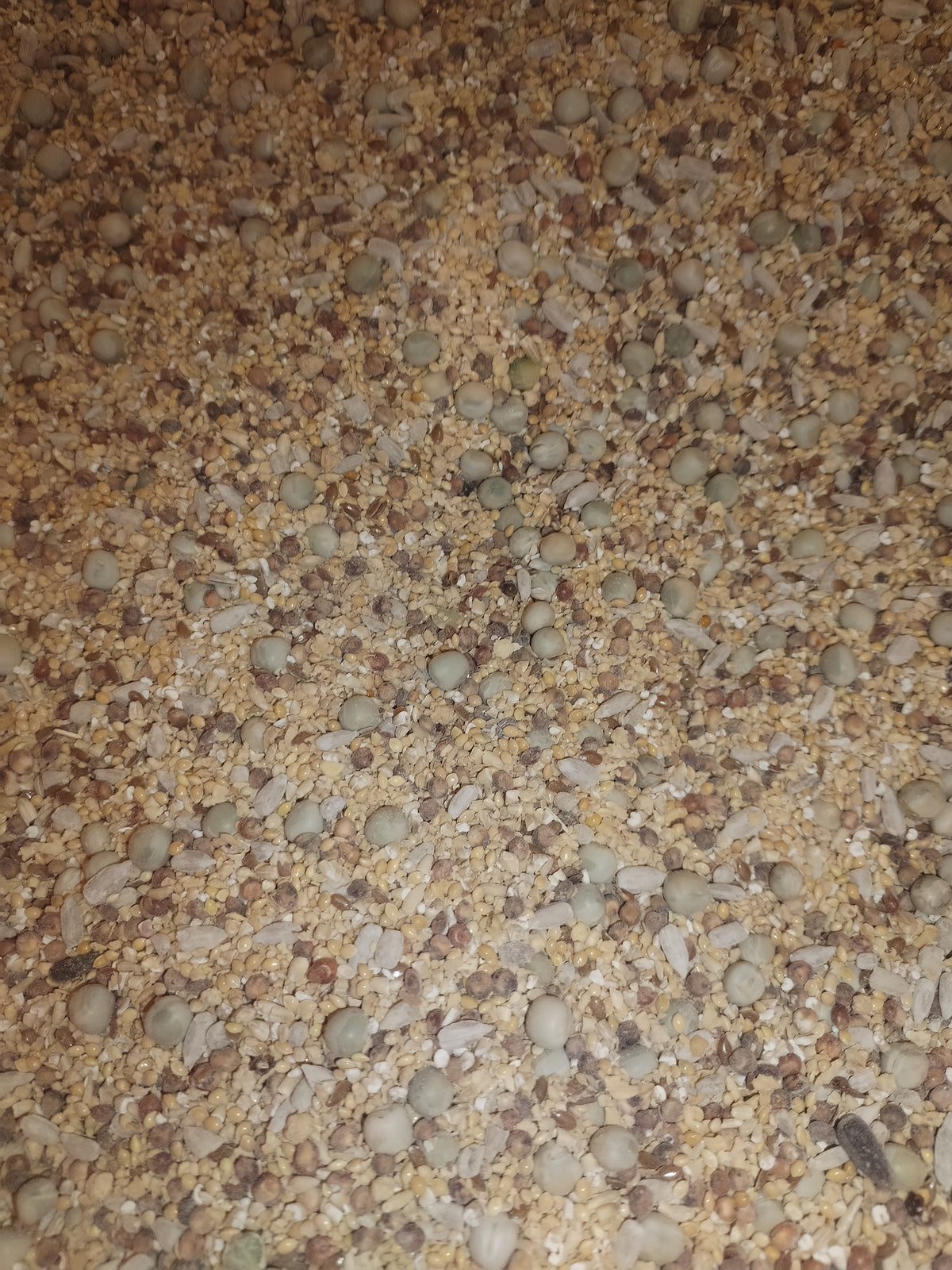 FLOCK ONE – 21% Premium Mixed-Flock Textured Complete Feed