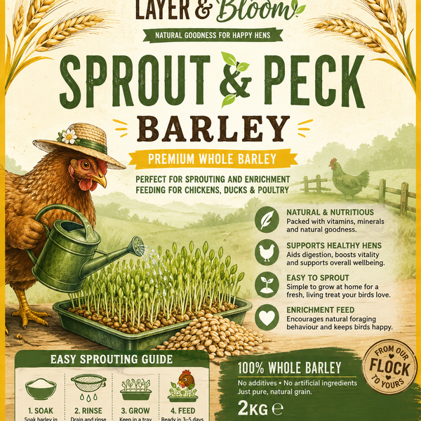 Sprout & Peck Barley – Premium Whole Barley for Poultry (2kg)