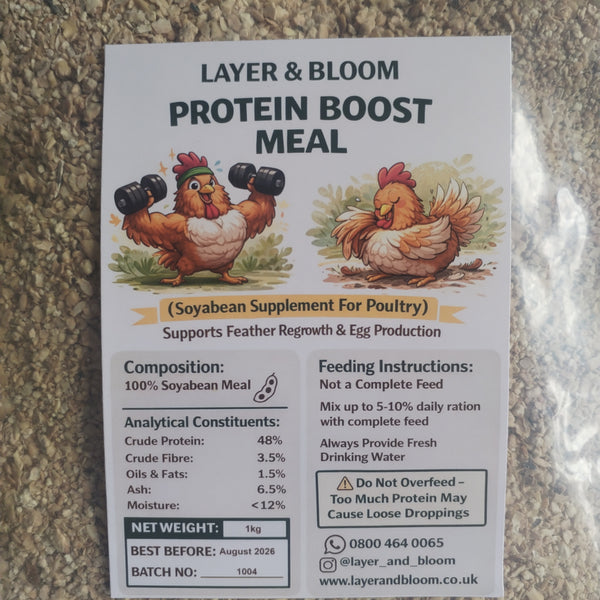Protein Boost Meal