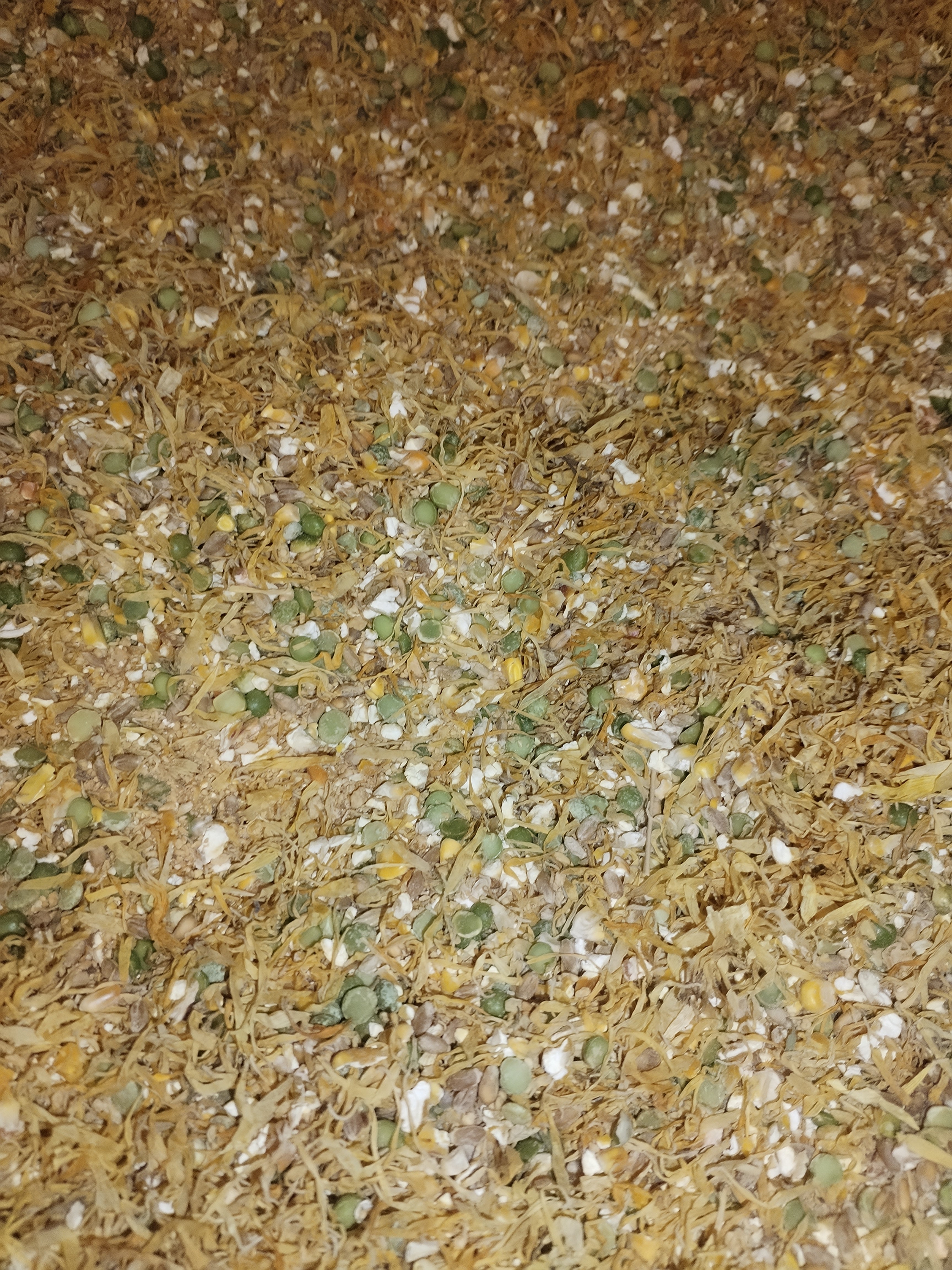 10kg Quackers Choice - Complete Feed for Ducks