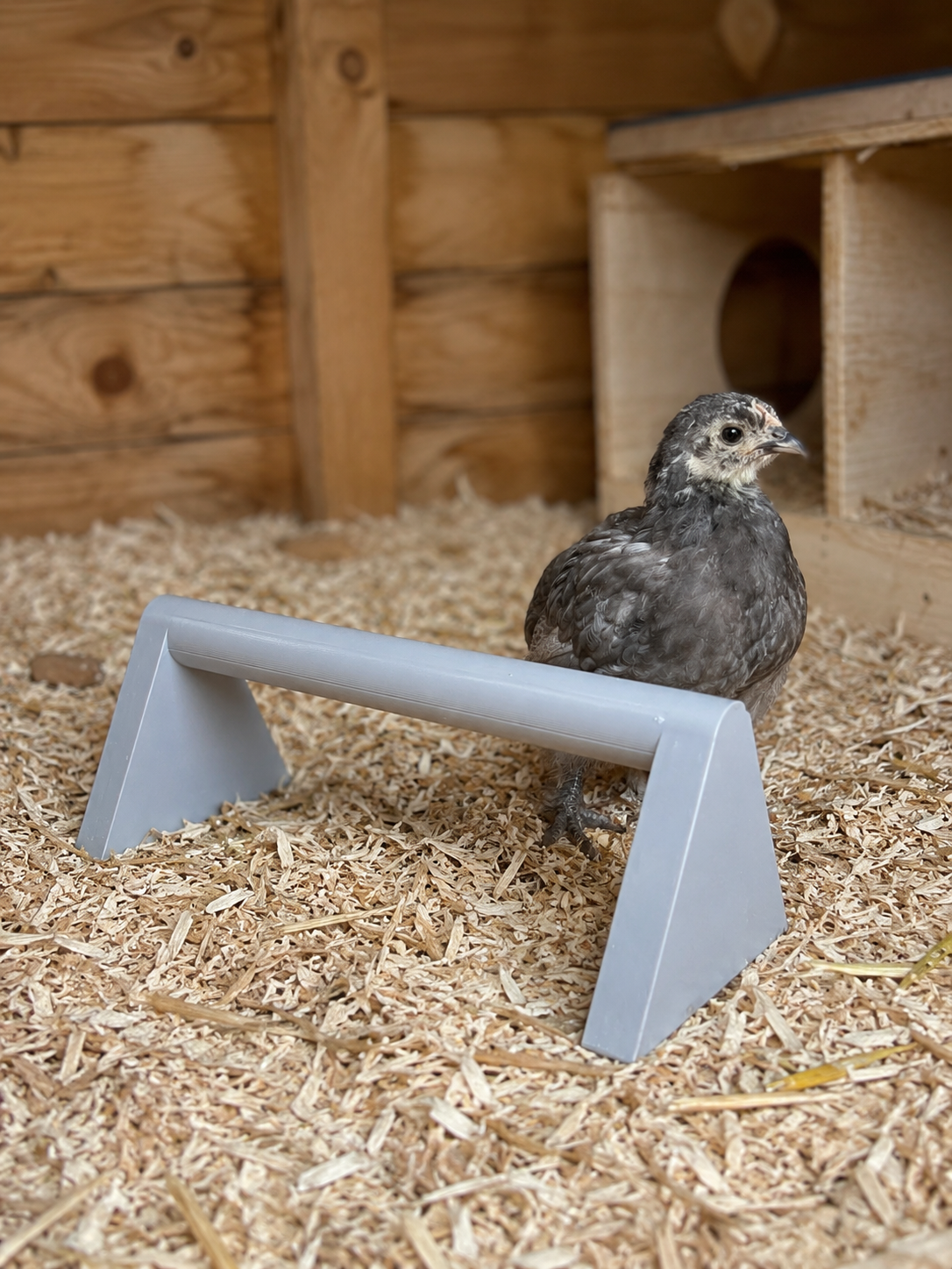Chick Roost - Multiple colours available