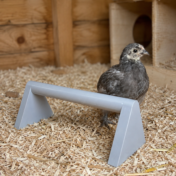 Chick Roost - Multiple colours available