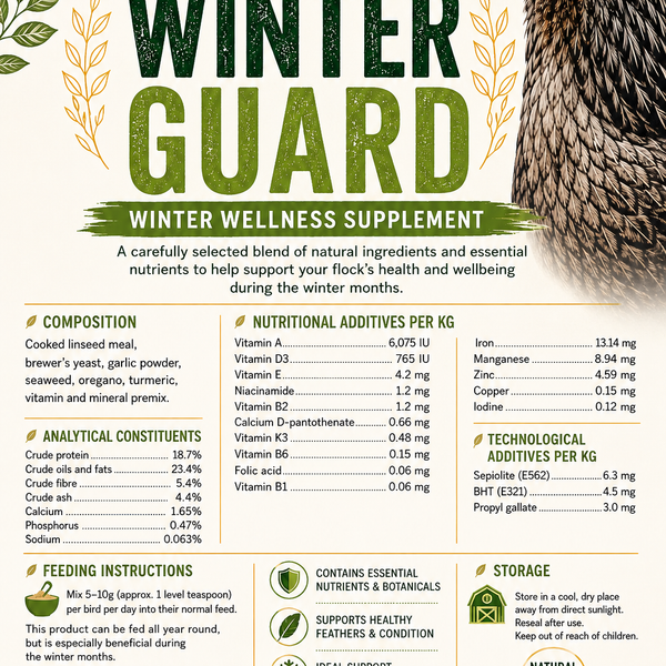 Winter Guard