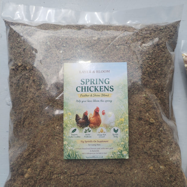Chicken Vitamin & Egg Boost Supplement