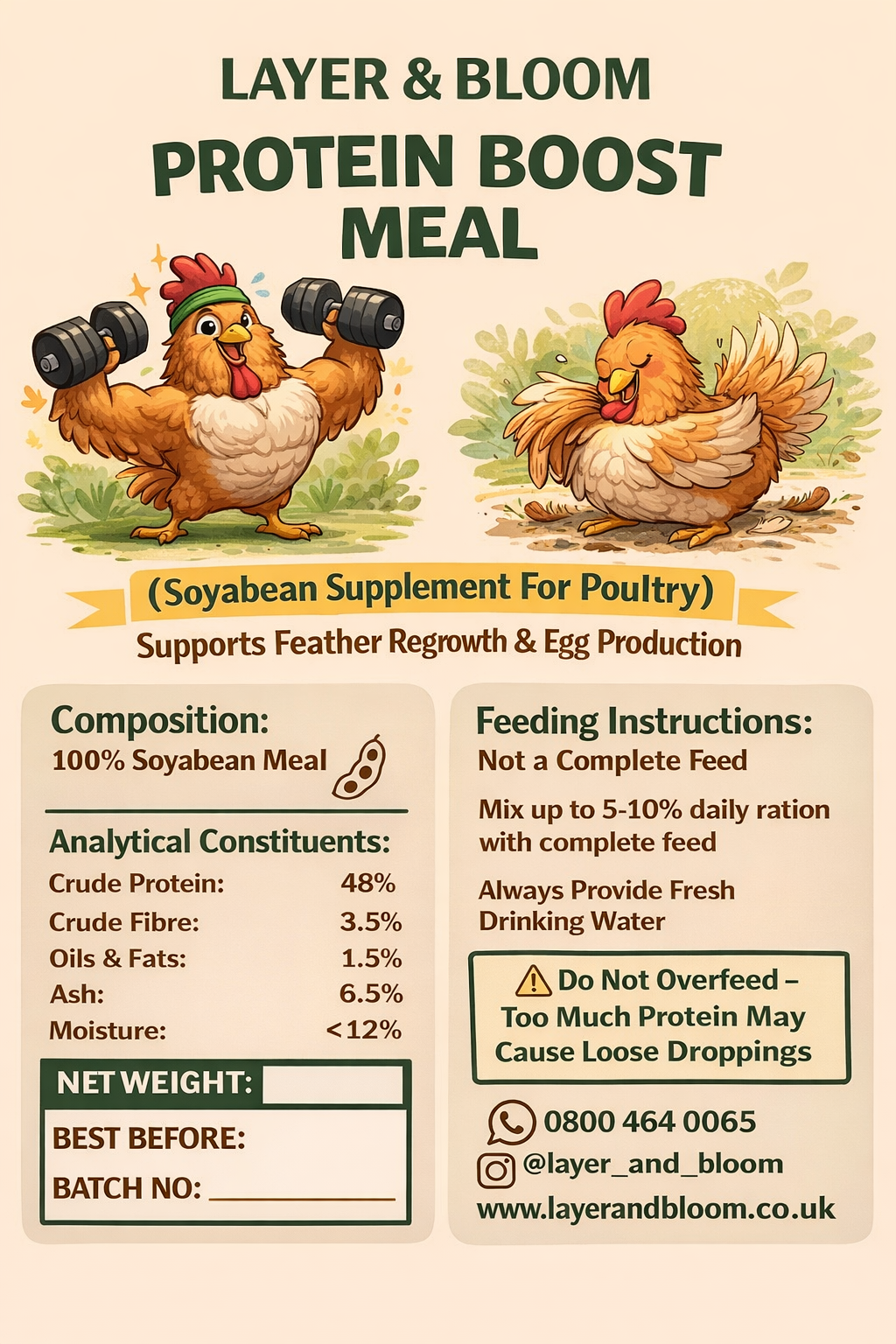 Protein Boost Meal